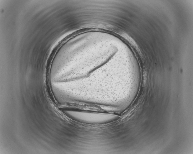 X0000087691020200706011714
