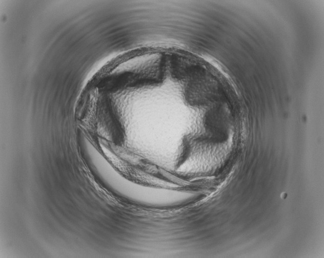 X0000087691022200706011714