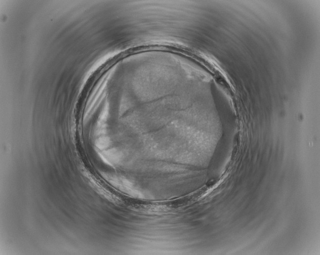 X0000087691024200706011714