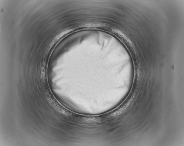 X0000087691025200706011714