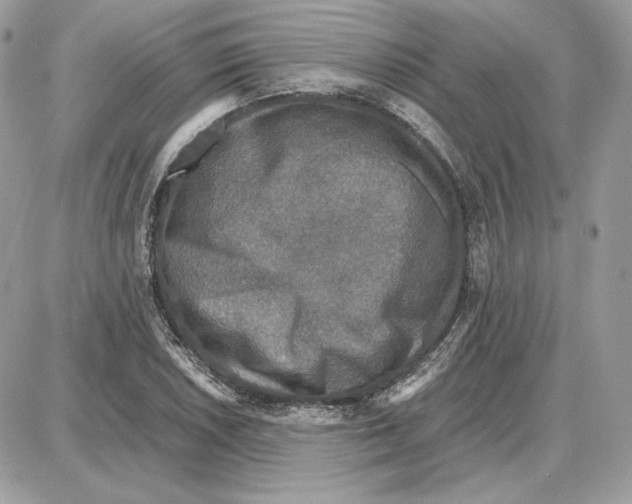 X0000087691026200706011714
