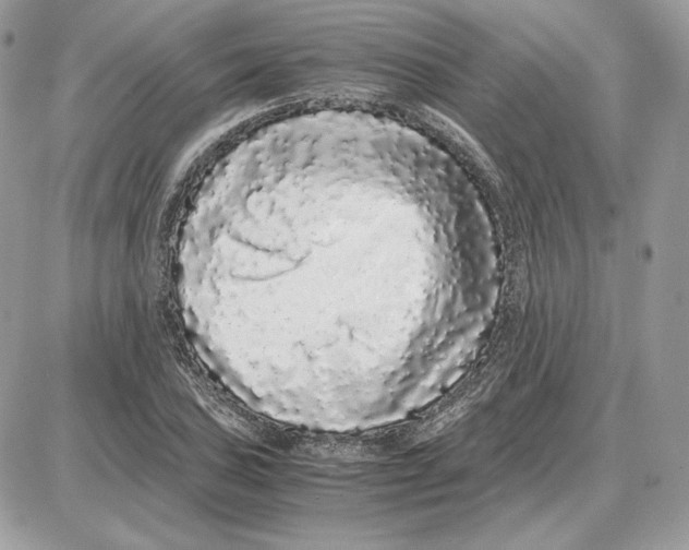 X0000087691027200706011714