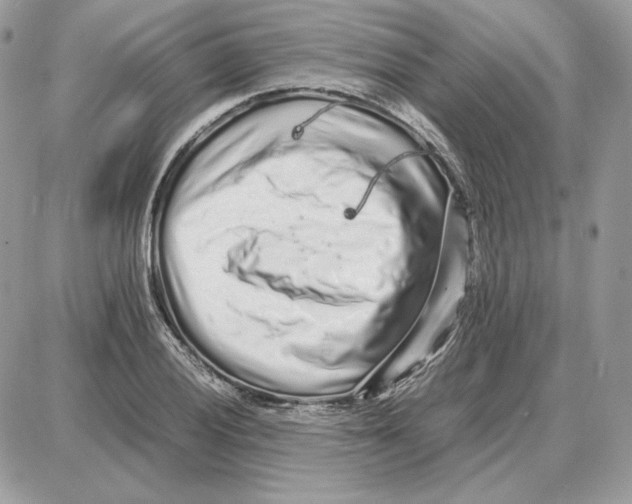 X0000087691028200706011714