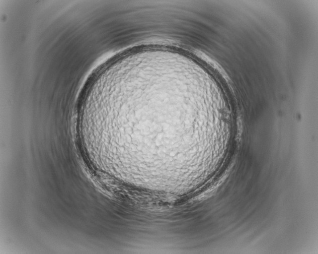 X0000087691029200706011714