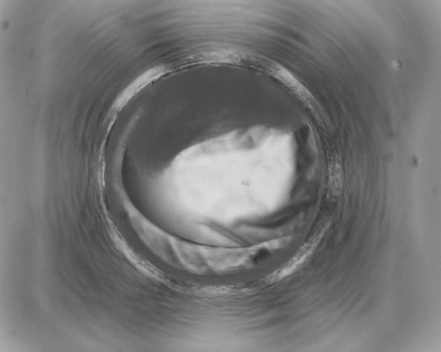 X0000087691034200706011714