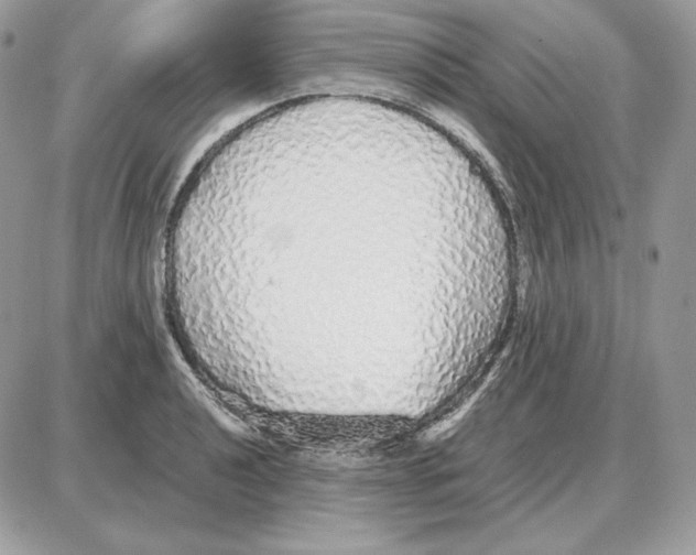X0000087691040200706011714