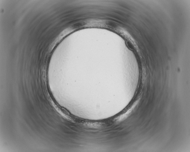 X0000087691041200706011714