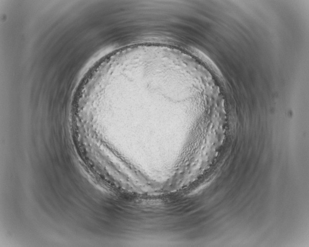 X0000087691043200706011714