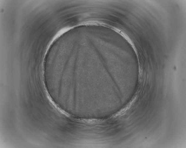 X0000087691045200706011714