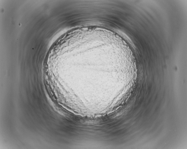 X0000087691047200706011714