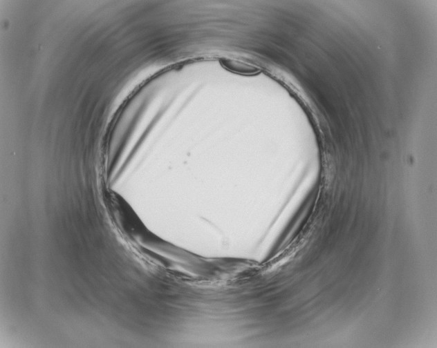 X0000087691048200706011714