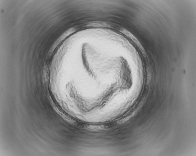 X0000087691049200706011714