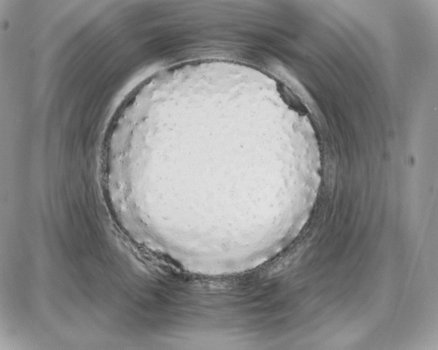 X0000087691051200706011714
