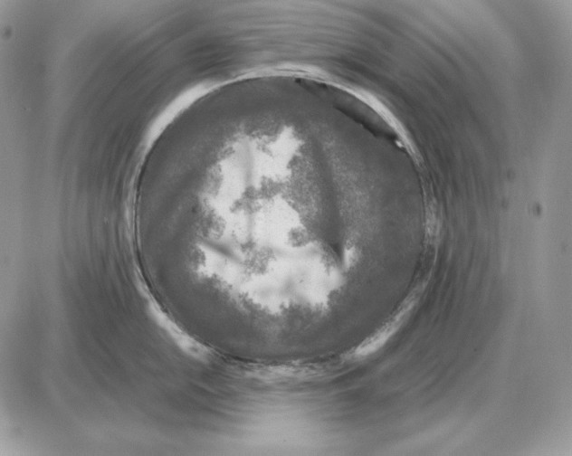 X0000087691054200706011714