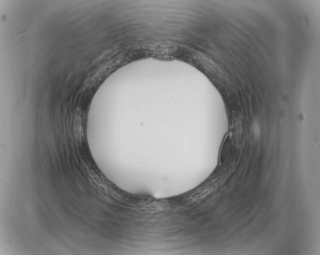 X0000087691058200706011713