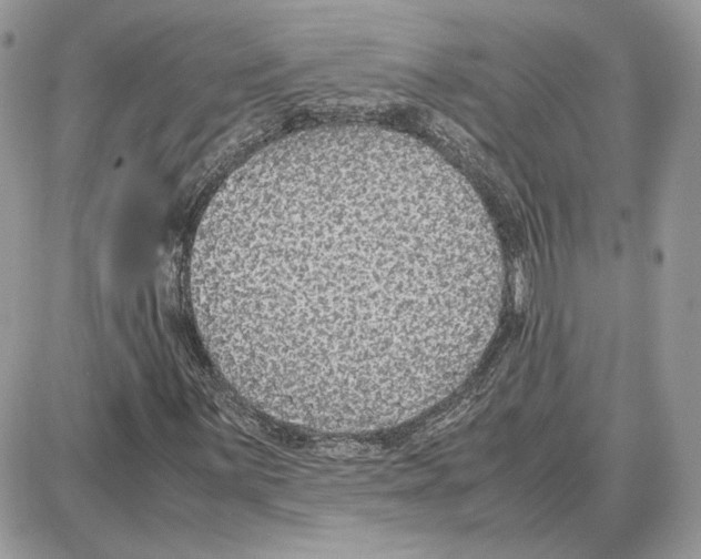 X0000087691059200706011713