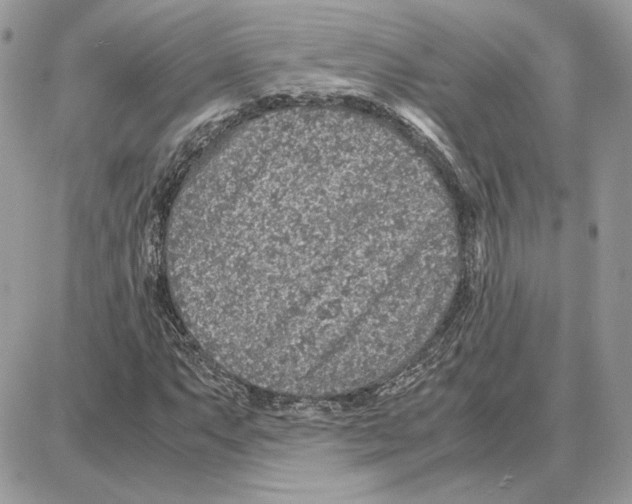 X0000087691063200706011713