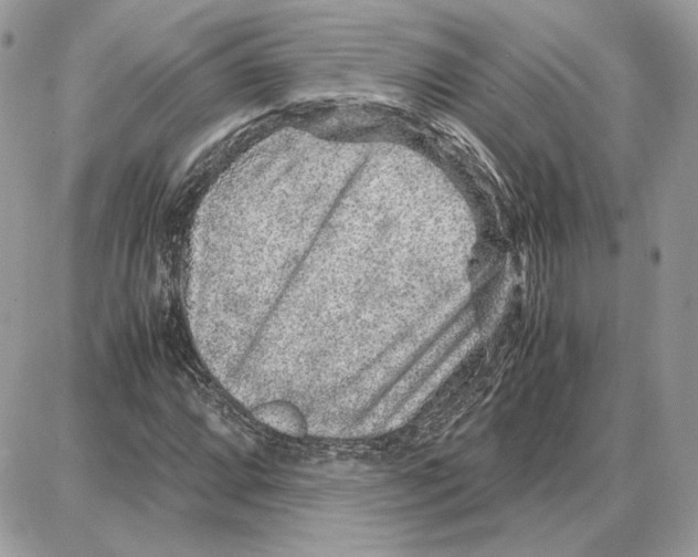 X0000087691064200706011713