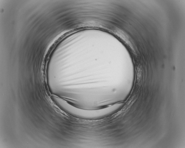 X0000087691068200706011713