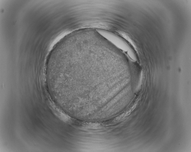 X0000087691071200706011713