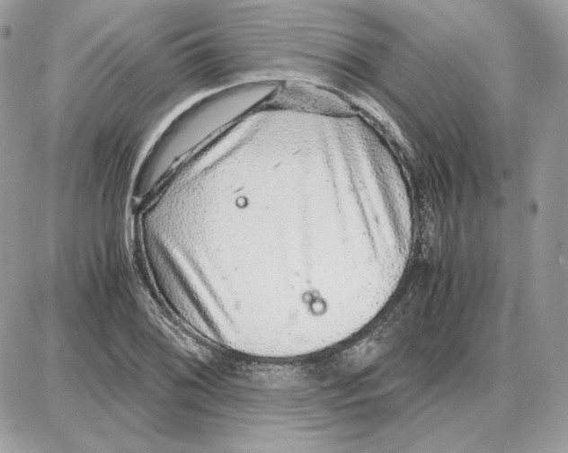 X0000087691076200706011713