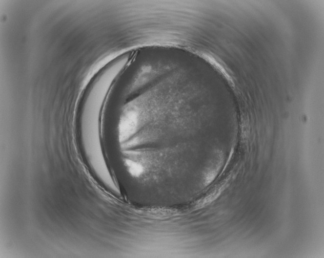 X0000087691077200706011713