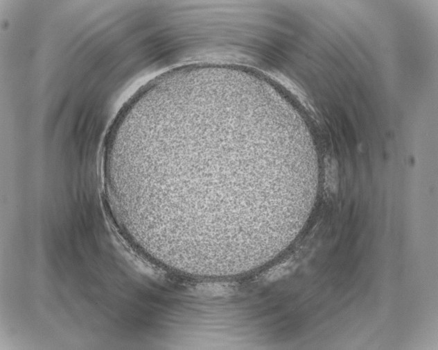 X0000087691078200706011713