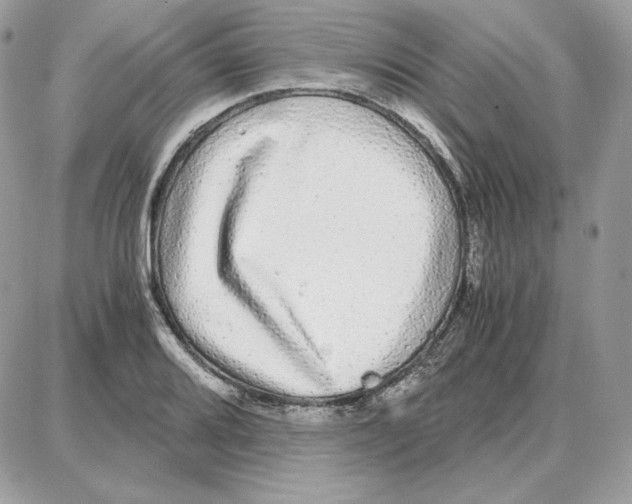 X0000087691080200706011713