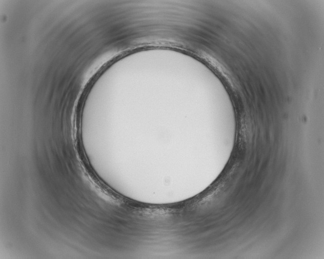 X0000087691082200706011713