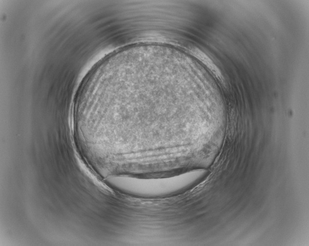 X0000087691084200706011713