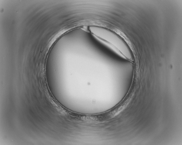 X0000087691089200706011713