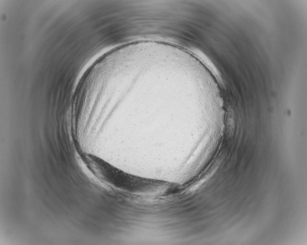 X0000087691100200706011713