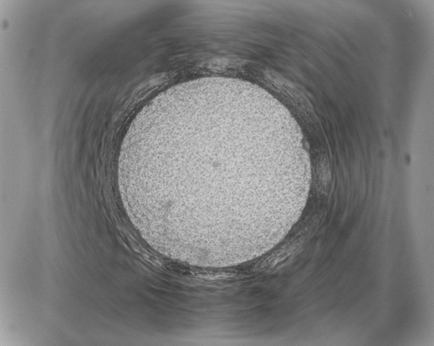 X0000087691105200706011712