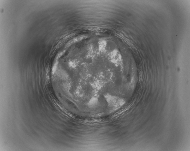 X0000087691106200706011712