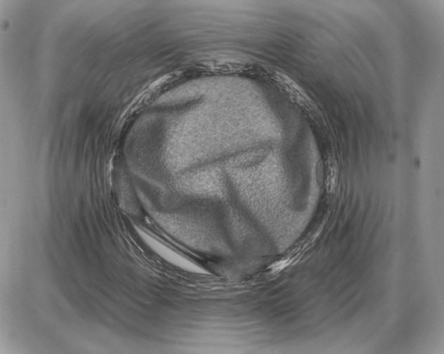 X0000087691108200706011712