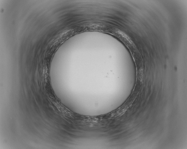 X0000087691111200706011712