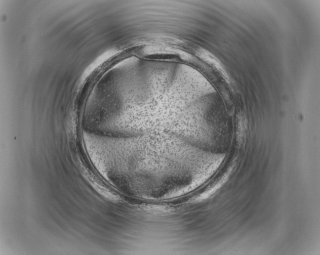 X0000087691114200706011712