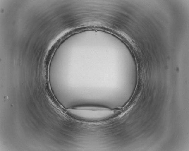 X0000087691118200706011712