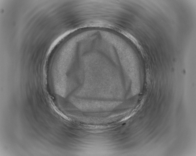 X0000087691120200706011712