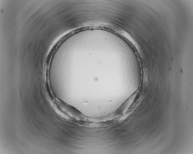 X0000087691124200706011712