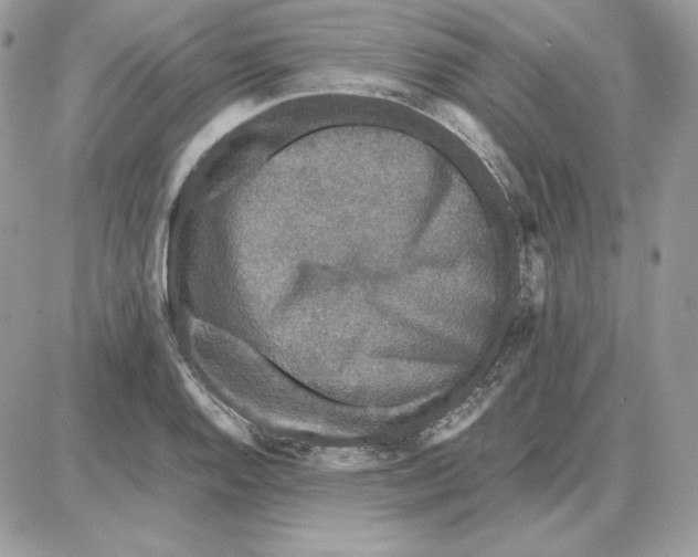 X0000087691128200706011712