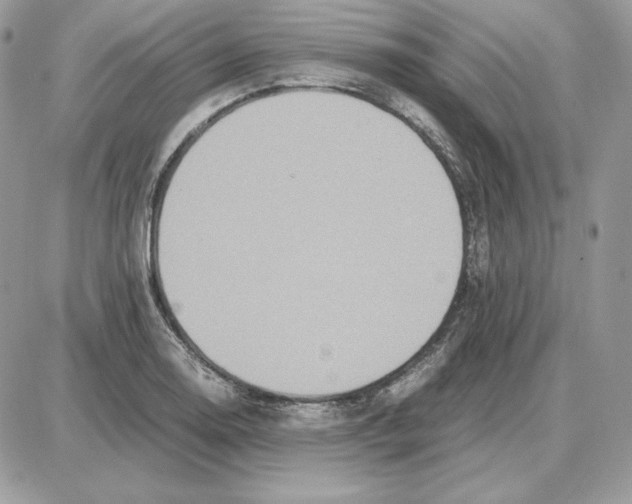 X0000087691130200706011712