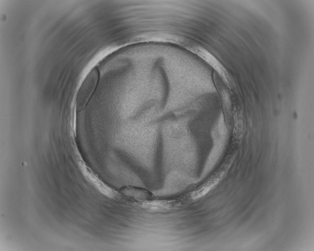 X0000087691132200706011712