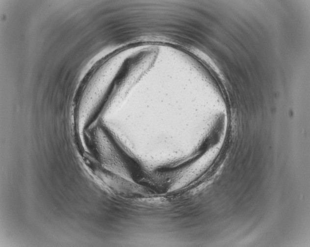 X0000087691133200706011712