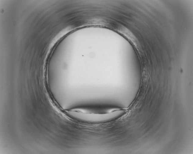 X0000087691135200706011712
