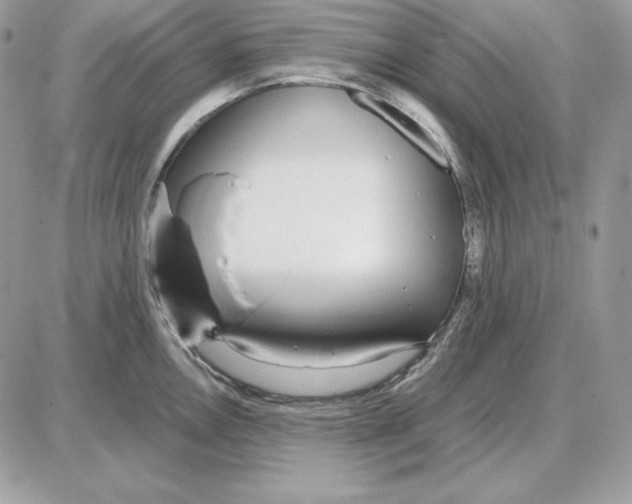 X0000087691146200706011713