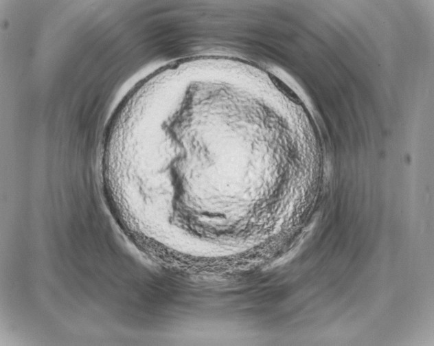 X0000087691149200706011713