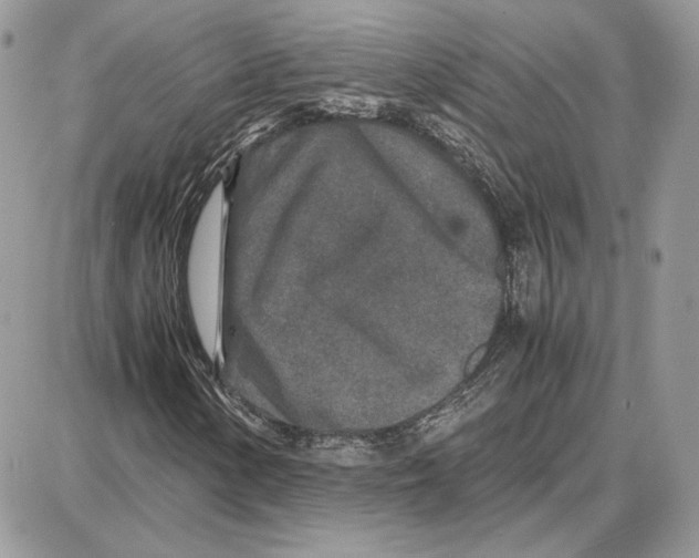 X0000087691154200706011712