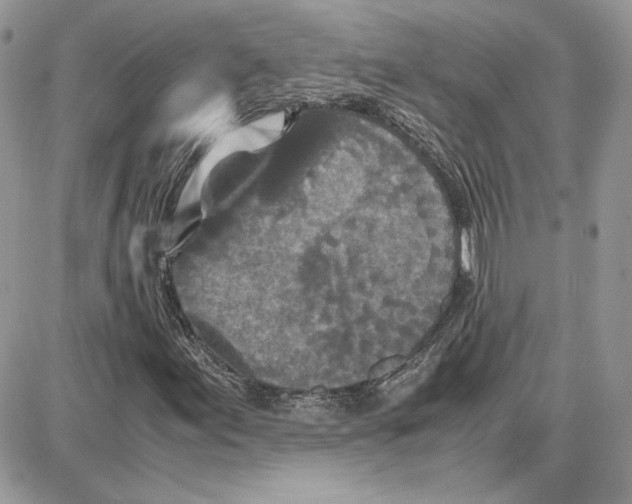 X0000087691155200706011712