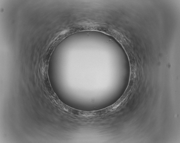 X0000087691157200706011712